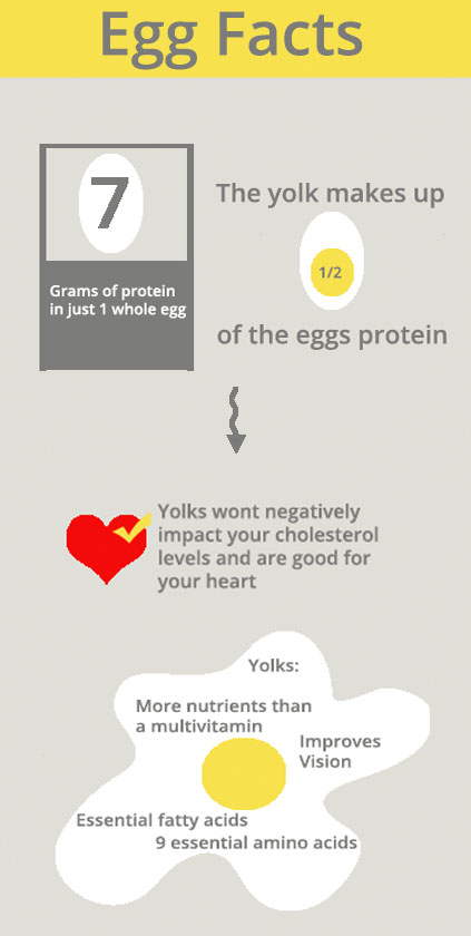 egg-facts-infographic1